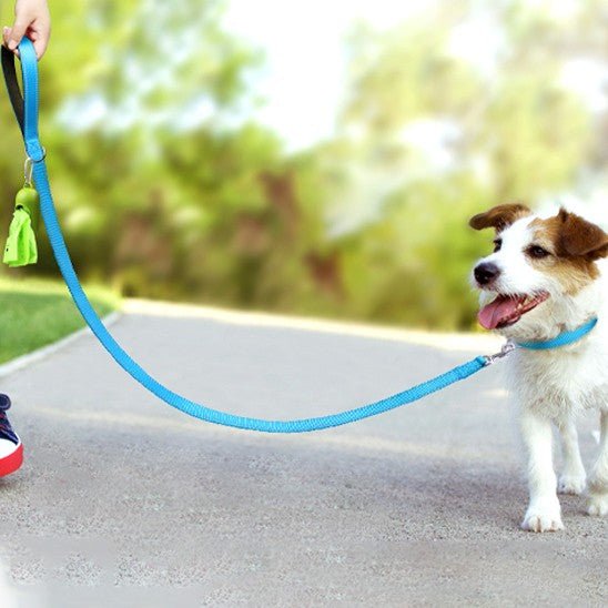 laisse pour Chien | Joytale - Excursion Chien