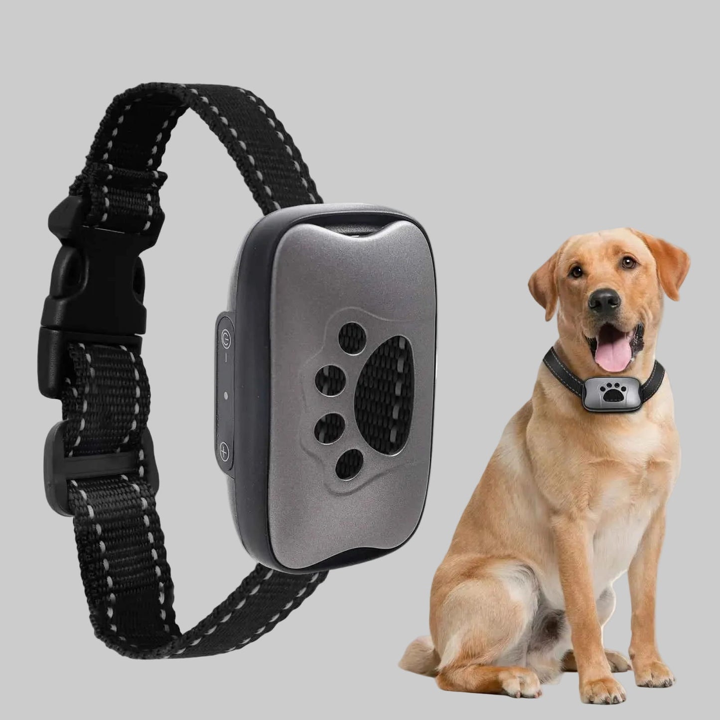 Collier Anti Aboiement Pour Chien | Doux et Efficace - Excursion Chien