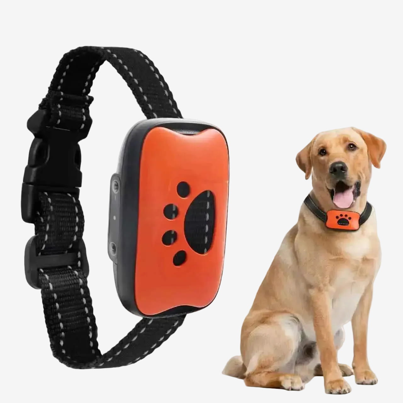 Collier Anti Aboiement Pour Chien | Doux et Efficace - Excursion Chien