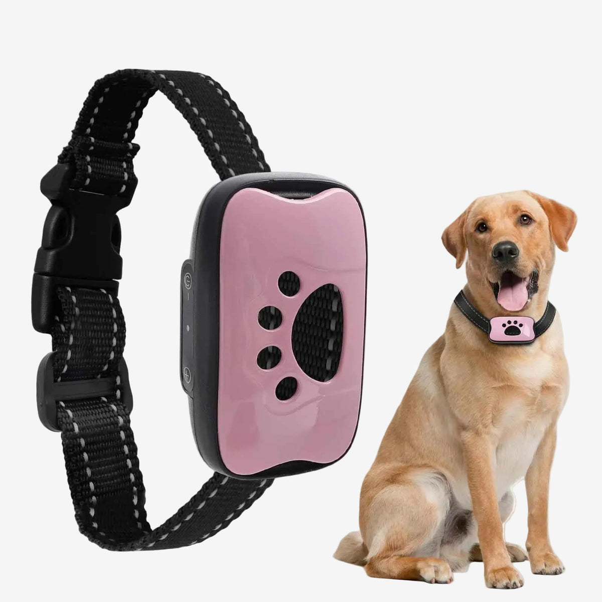 Collier Anti Aboiement Pour Chien | Doux et Efficace - Excursion Chien