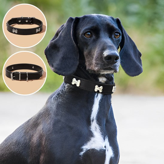 Collier cuir Chien élégant