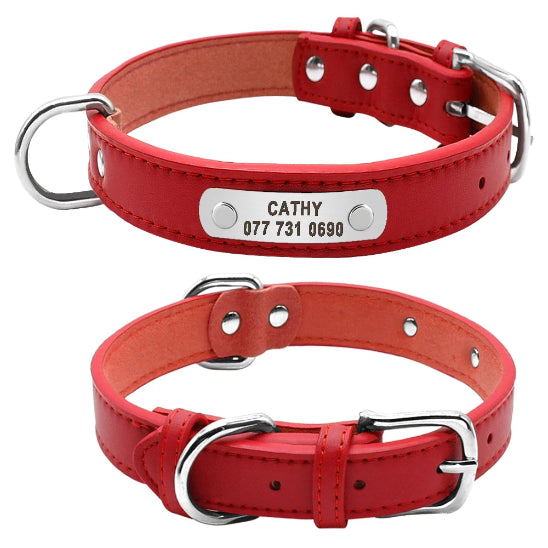 Collier pour chien gravé avec plaque