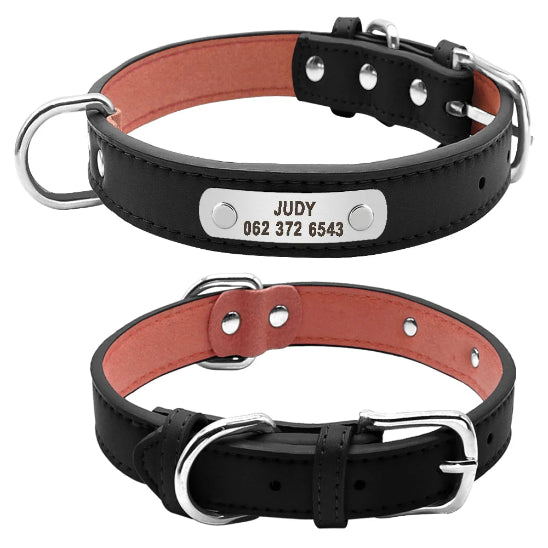 Collier pour chien gravé confortable et sécuritaire