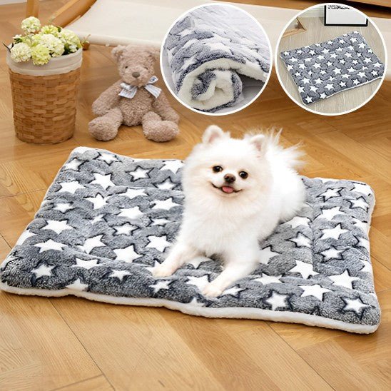 Coussin chien | Flanelle - Excursion Chien