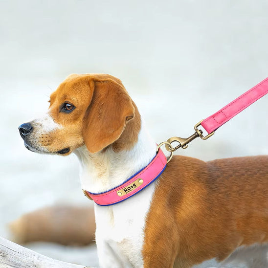 Collier Chien personnalisé prenom rose