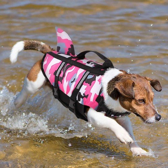 Gilet de sauvetage chien | Flottant - Excursion Chien