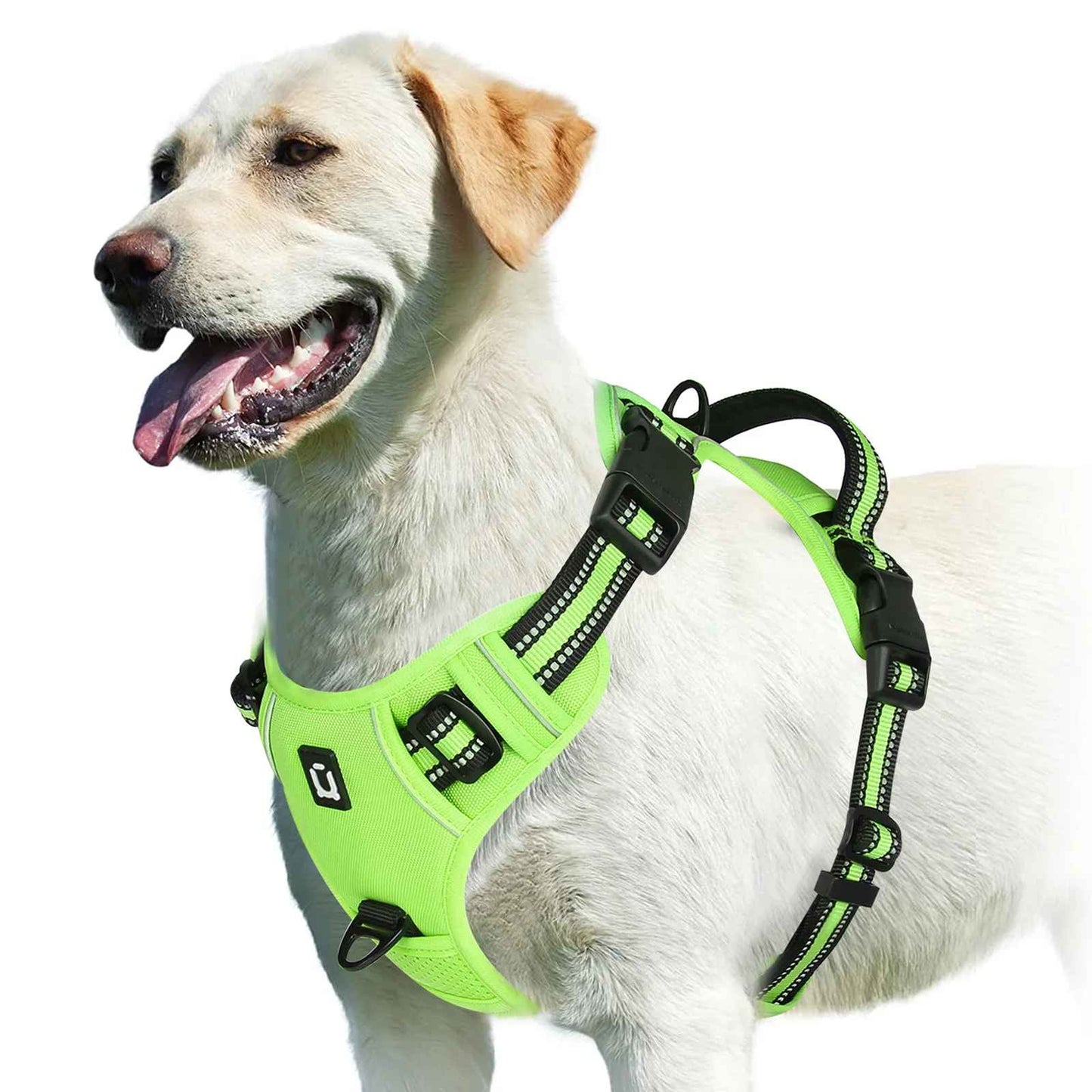 Harnais anti traction pour chien vert