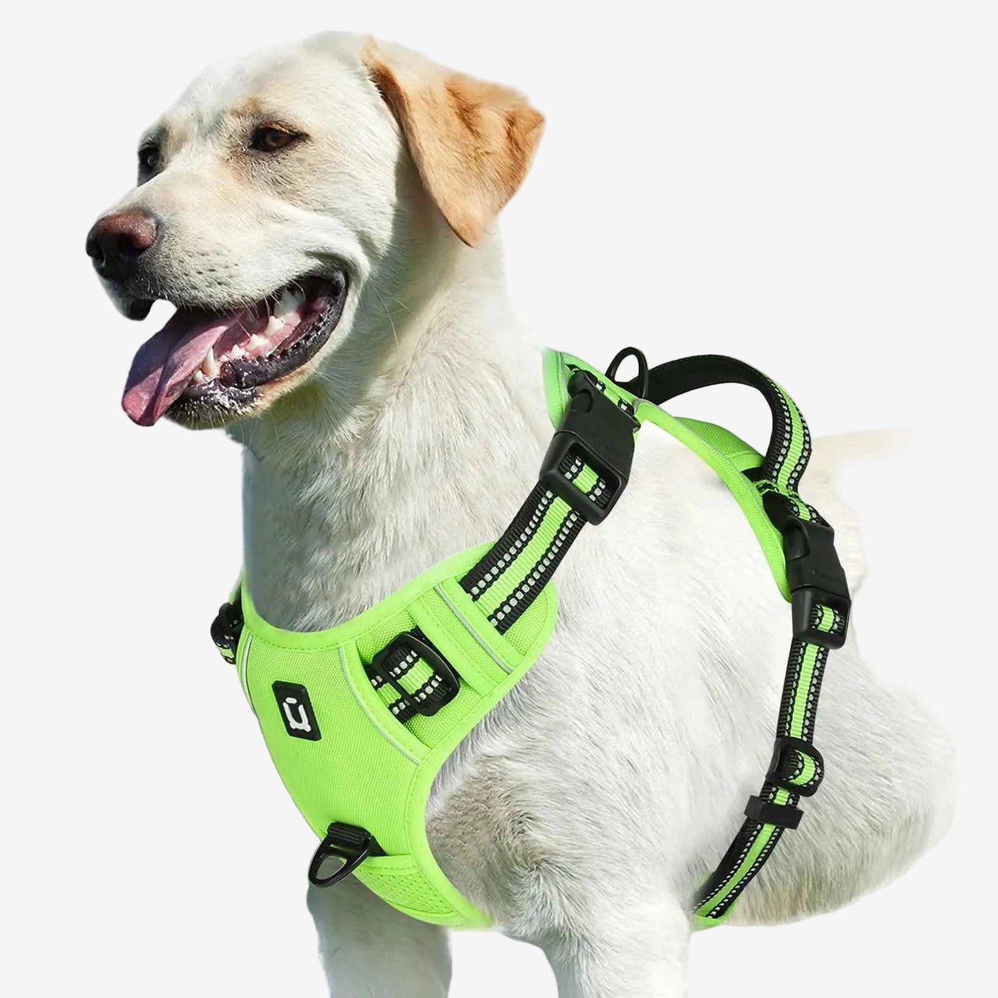 Harnais anti traction pour chien | Confort Optimal - Excursion Chien