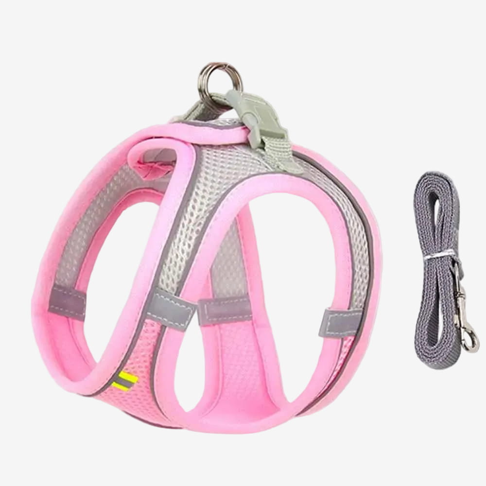 Harnais Chiot | Confort Ajustable - Excursion Chien