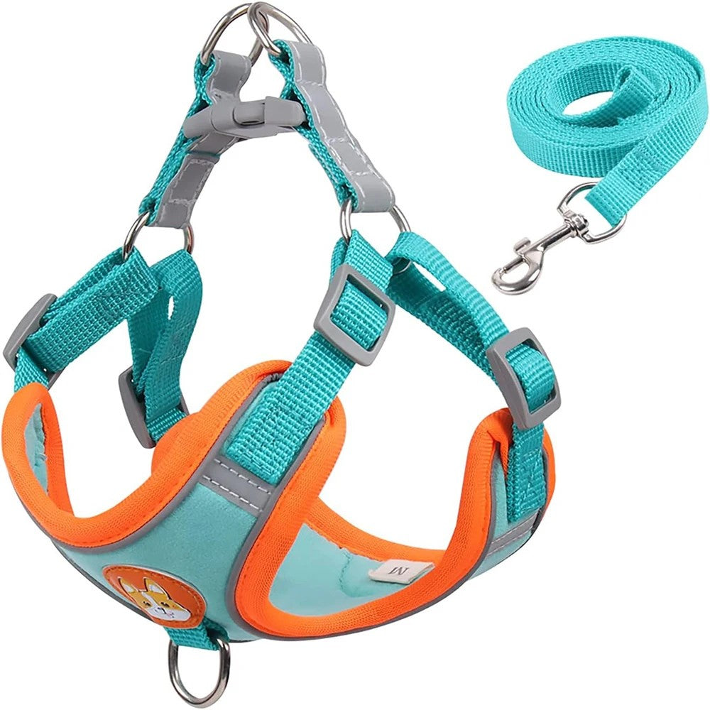 Harnais pour chiots qui offre un contrôle optimal pendant les promenades tout en assurant le confort de votre animal
