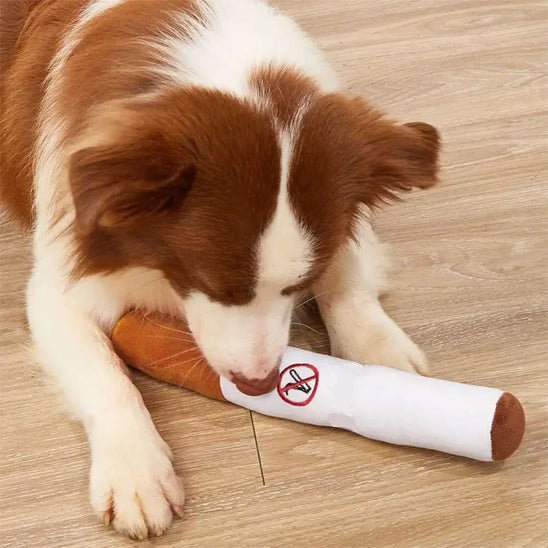 Jouet d'éveil Pour Chien | Résistant avec couineur - Excursion Chien