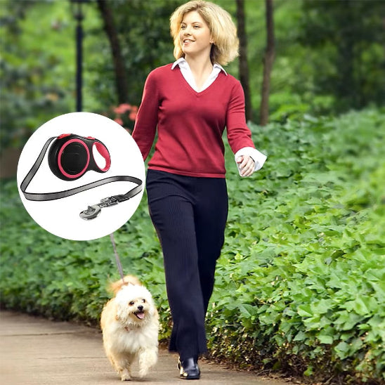 Laisse chien extensible 8 mètres de long légère