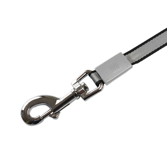 Laisse chien extensible avec boucle de sécurité