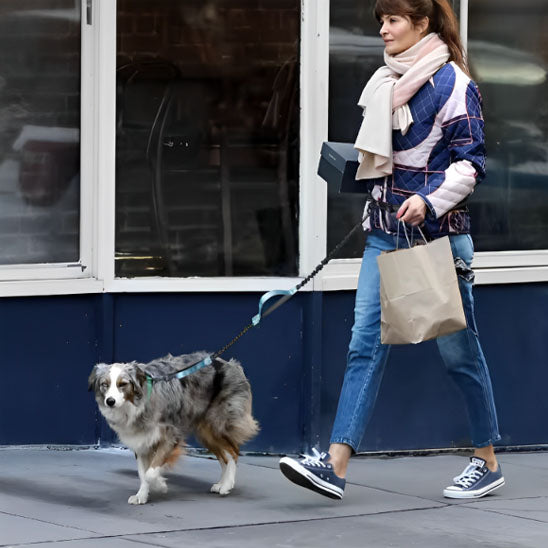 Laisse mains libres pour chien polyvalente