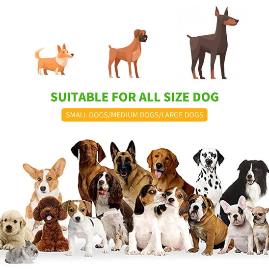 Laisse mains libres pour chiens adaptable