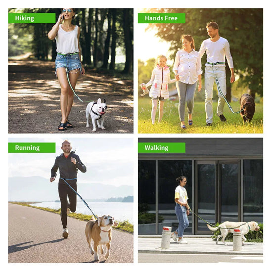Laisse mains libres pour chiens polyvalente