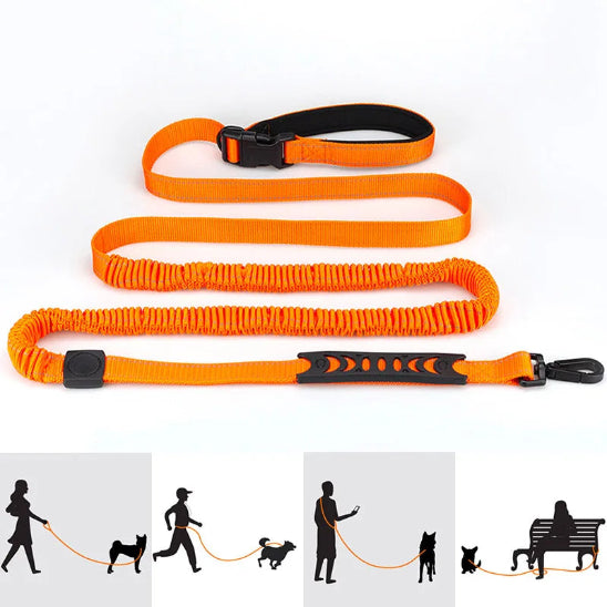 Laisse mains libres pour chiens qui change toutes vos sorties avec votre compagnon Ă quatre pattes