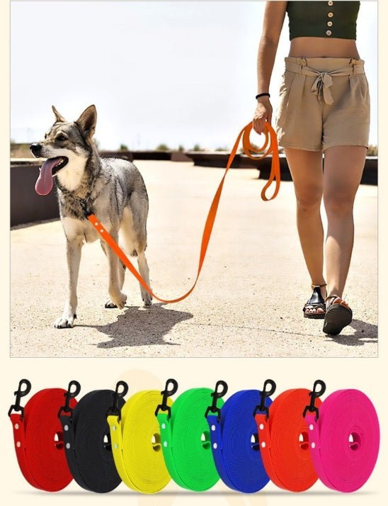 Laisse pour chien | Biothane - Excursion Chien