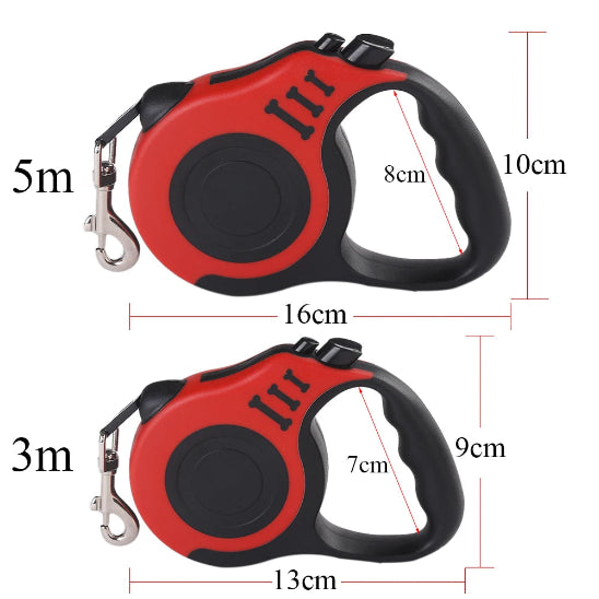 Laisse pour chien extensible et adaptable