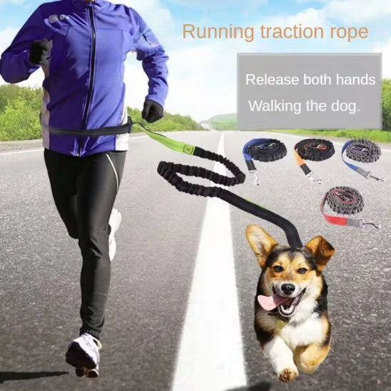 Laisse pour chien main libre confortable