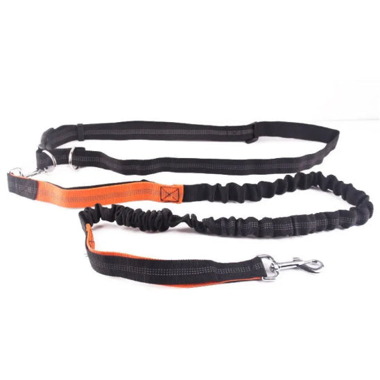 Laisse pour chien main libre ergonomique