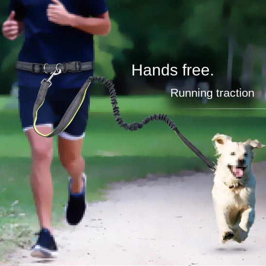 Laisse pour chien main libre multifonction