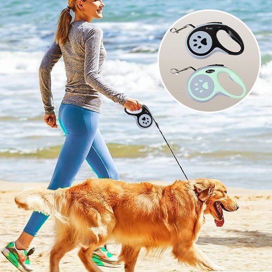 Laisse pour chien | Revo - Excursion Chien