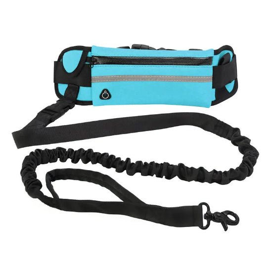 Laisse pour chien | Télescopique - Excursion Chien