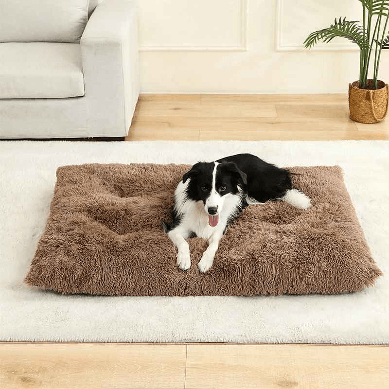 Coussin pour chien - Excursion Chien