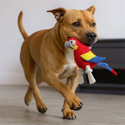 Peluche Chien | Perroquet - Excursion Chien