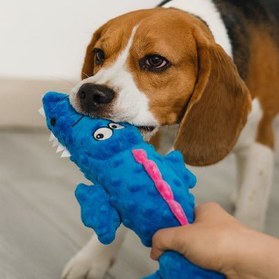 Peluche Chien | Dinosaure - Excursion Chien