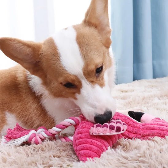 Peluche pour chien | Flamant Rose - Excursion Chien