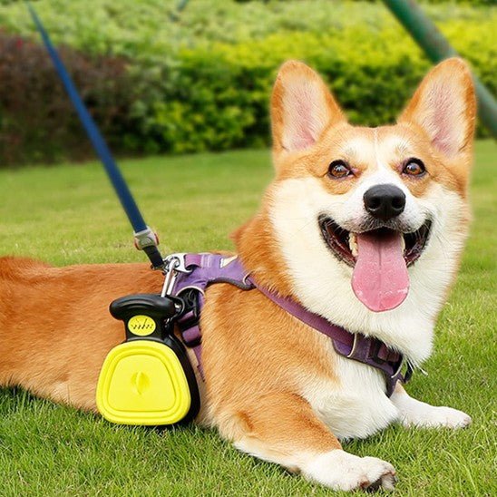Ramasse crottes pour chien - Excursion Chien