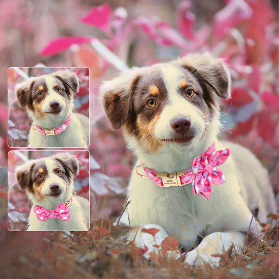 Collier Chien personnalisé rose fluore