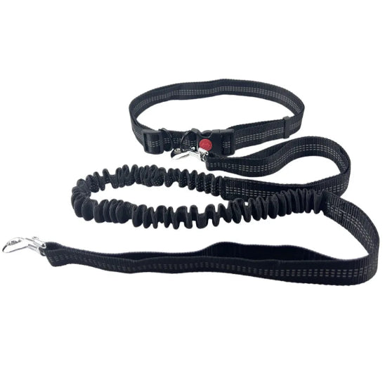 Laisse pour chien main libre | Jogging