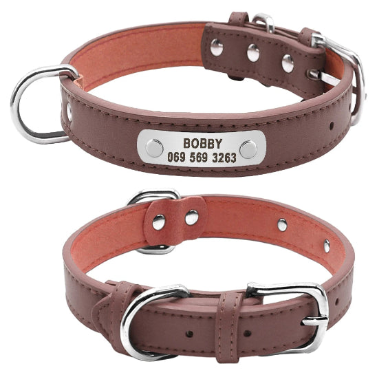 Collier pour chien avec plaque gravée