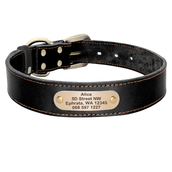 collier en cuir noir pour chien personnalisé