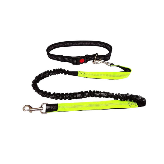 Laisse pour chien main libre | Jogging