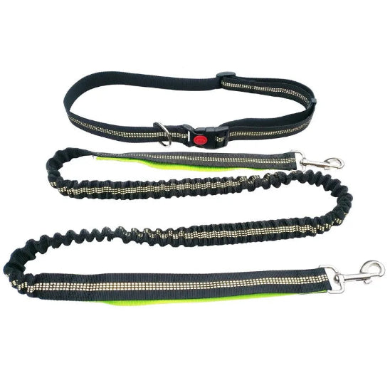 Laisse pour chien main libre | Jogging