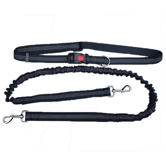 Laisse pour chien main libre | Jogging