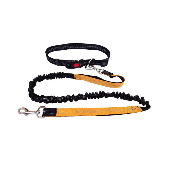 Laisse pour chien main libre | Jogging