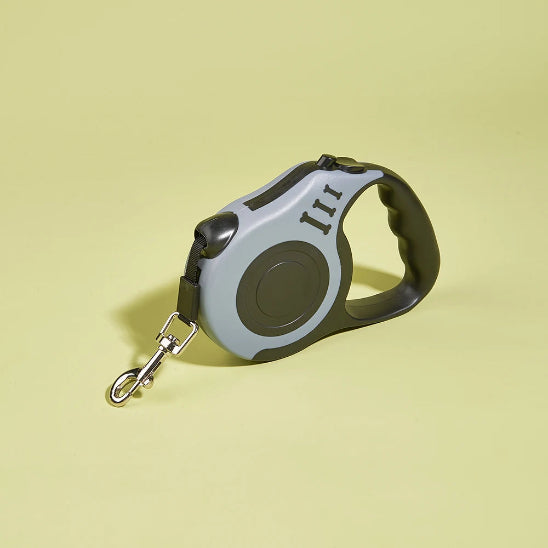 Laisse pour chien | Rétractable automatique