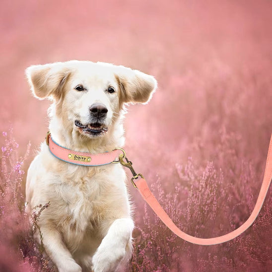 Collier chien cuir personnalisé rose