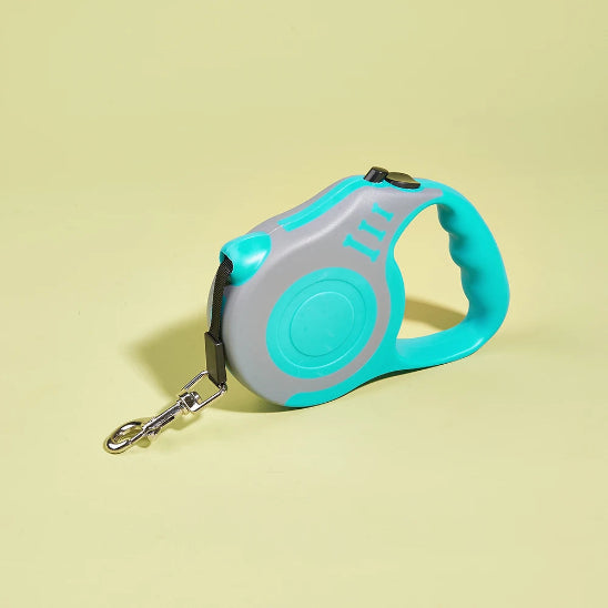 Laisse pour chien | Rétractable automatique