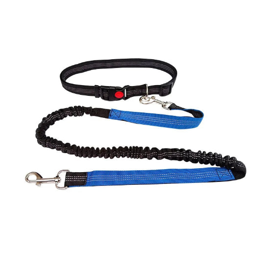 Laisse pour chien main libre | Jogging