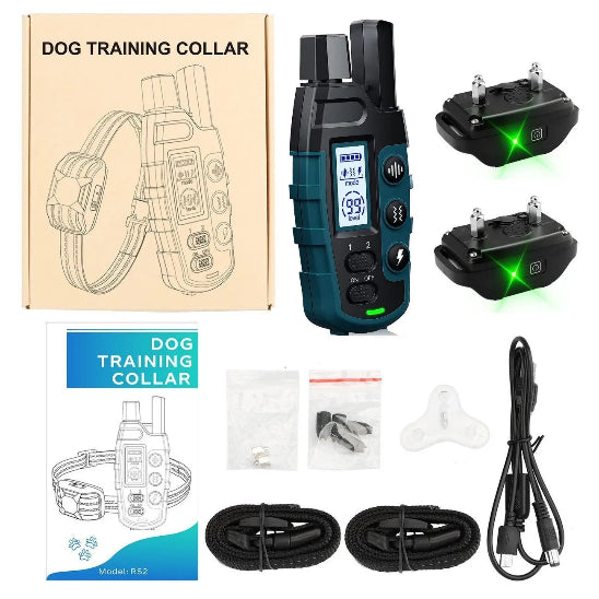 Avis collier anti fugue Chien