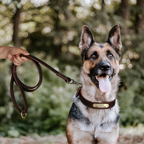 Collier pour chien en cuir marron personnalisable