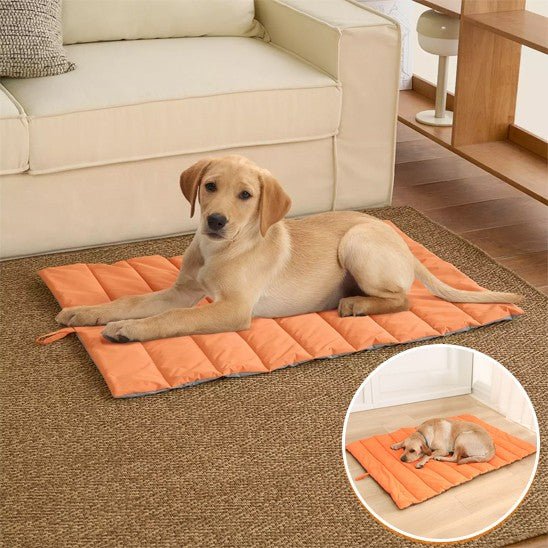 Tapis chien - Excursion Chien