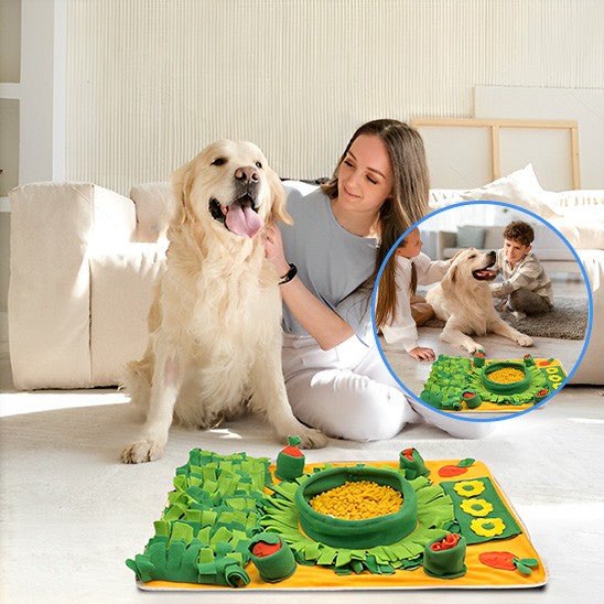 Tapis de fouille chien - Excursion Chien