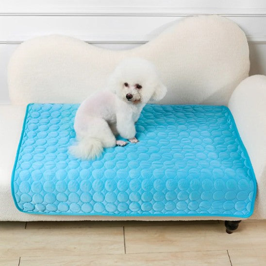 Tapis rafraîchissant chien